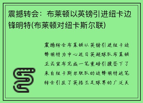 震撼转会：布莱顿以英镑引进纽卡边锋明特(布莱顿对纽卡斯尔联)